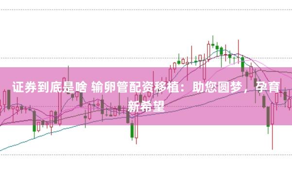 证券到底是啥 输卵管配资移植：助您圆梦，孕育新希望