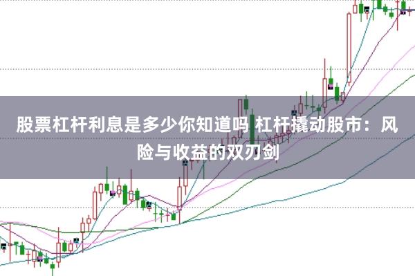 股票杠杆利息是多少你知道吗 杠杆撬动股市：风险与收益的双刃剑