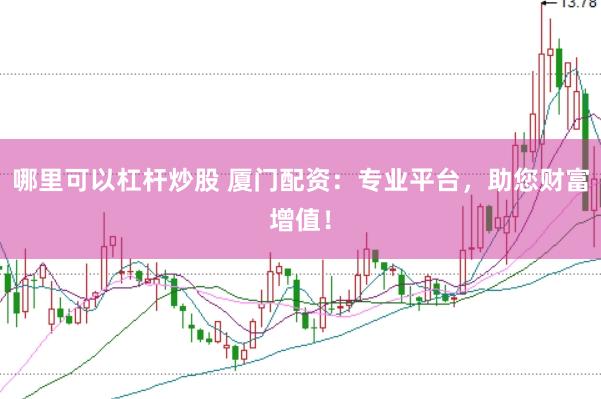 哪里可以杠杆炒股 厦门配资：专业平台，助您财富增值！