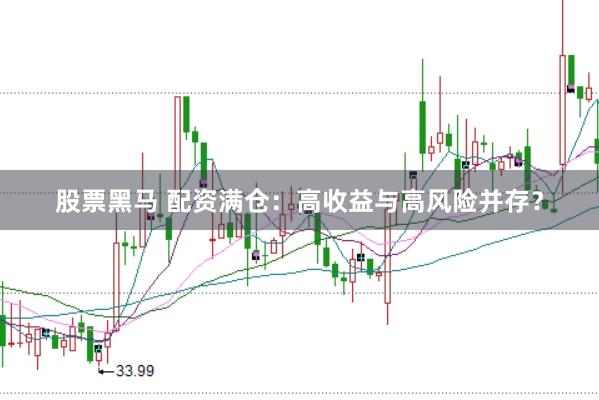 股票黑马 配资满仓：高收益与高风险并存？