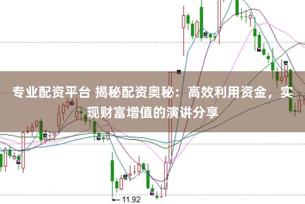 专业配资平台 揭秘配资奥秘：高效利用资金，实现财富增值的演讲分享