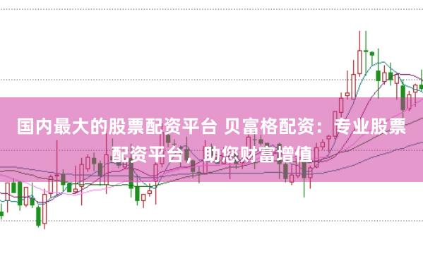 国内最大的股票配资平台 贝富格配资：专业股票配资平台，助您财富增值