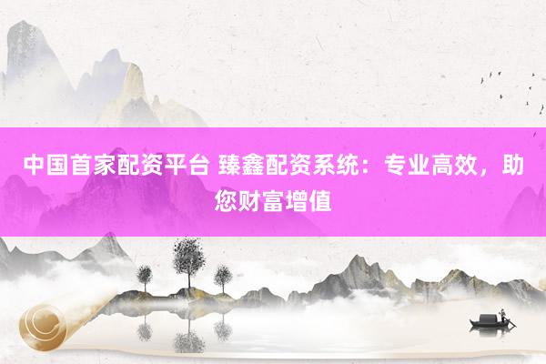 中国首家配资平台 臻鑫配资系统：专业高效，助您财富增值