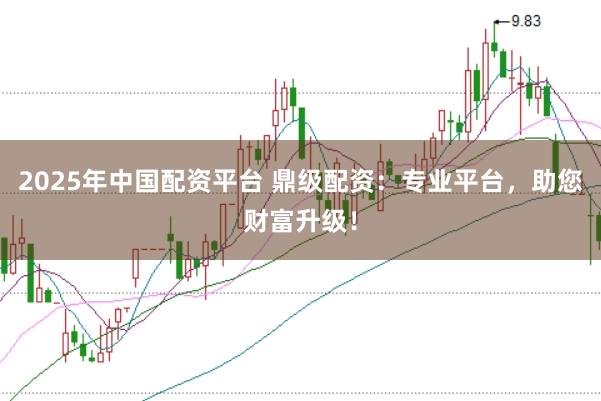 2025年中国配资平台 鼎级配资：专业平台，助您财富升级！