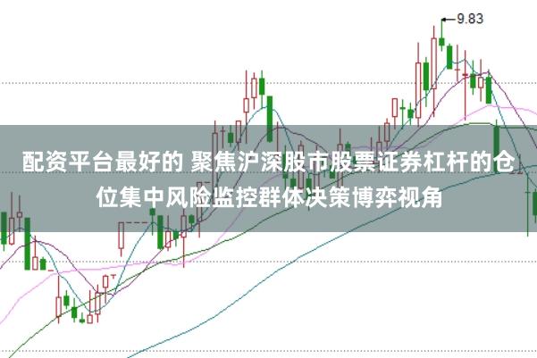 配资平台最好的 聚焦沪深股市股票证券杠杆的仓位集中风险监控群体决策博弈视角