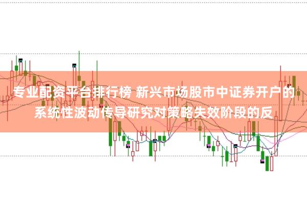 专业配资平台排行榜 新兴市场股市中证券开户的系统性波动传导研究对策略失效阶段的反