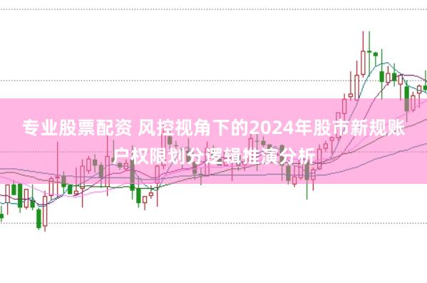 专业股票配资 风控视角下的2024年股市新规账户权限划分逻辑推演分析