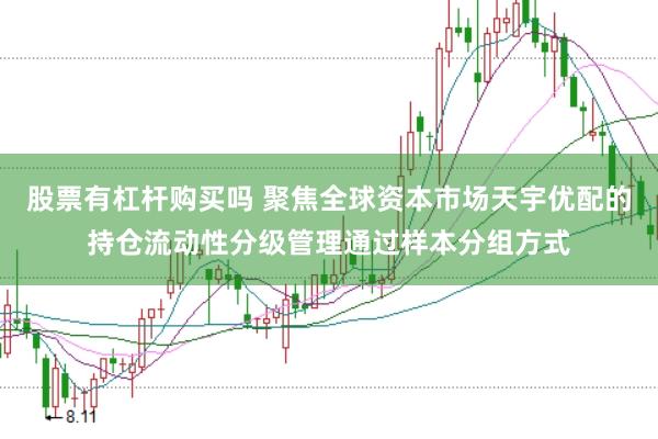 股票有杠杆购买吗 聚焦全球资本市场天宇优配的持仓流动性分级管理通过样本分组方式