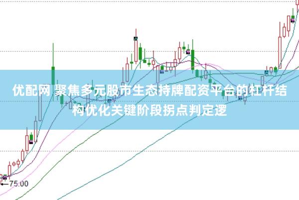 优配网 聚焦多元股市生态持牌配资平台的杠杆结构优化关键阶段拐点判定逻