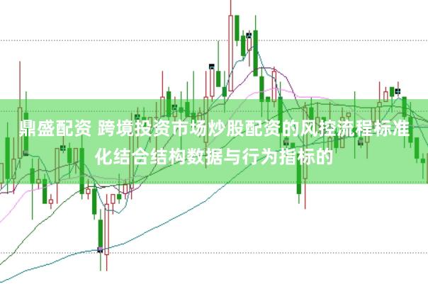 鼎盛配资 跨境投资市场炒股配资的风控流程标准化结合结构数据与行为指标的