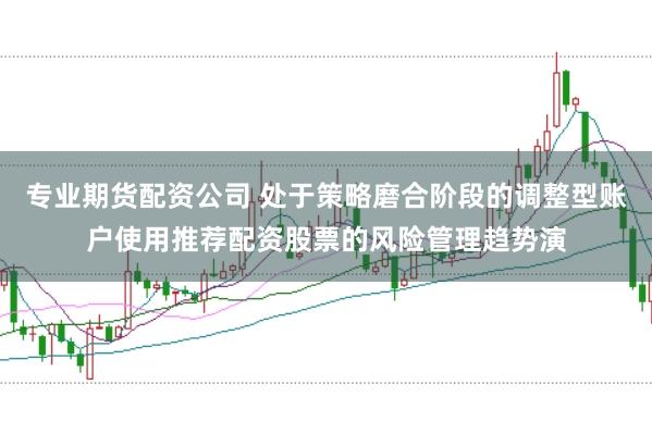 专业期货配资公司 处于策略磨合阶段的调整型账户使用推荐配资股票的风险管理趋势演