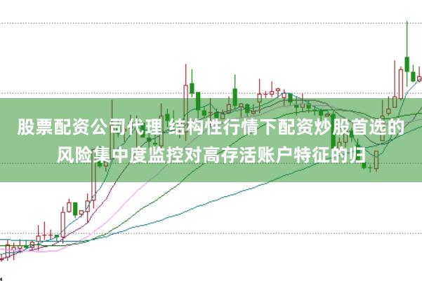 股票配资公司代理 结构性行情下配资炒股首选的风险集中度监控对高存活账户特征的归