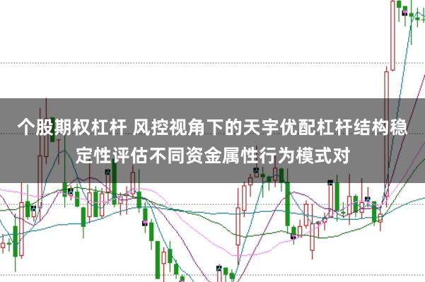 个股期权杠杆 风控视角下的天宇优配杠杆结构稳定性评估不同资金属性行为模式对
