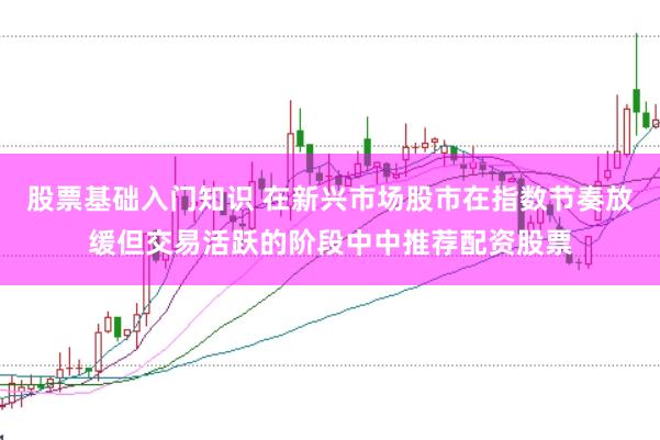 股票基础入门知识 在新兴市场股市在指数节奏放缓但交易活跃的阶段中中推荐配资股票