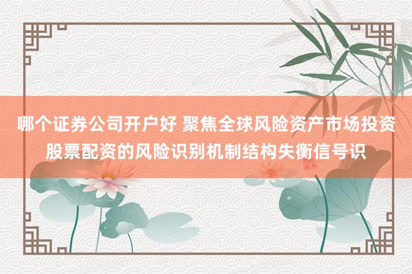 哪个证券公司开户好 聚焦全球风险资产市场投资股票配资的风险识别机制结构失衡信号识