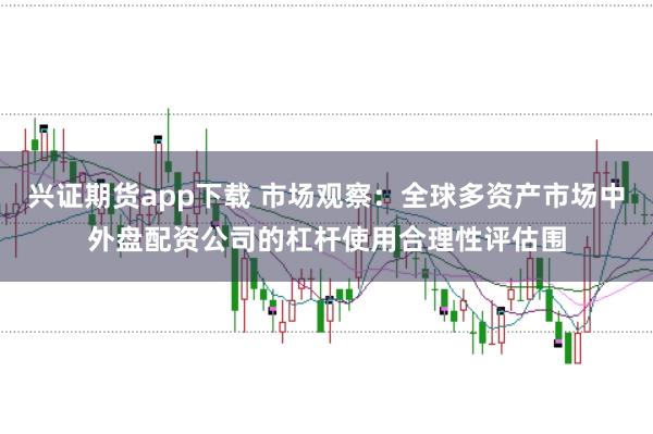 兴证期货app下载 市场观察：全球多资产市场中外盘配资公司的杠杆使用合理性评估围