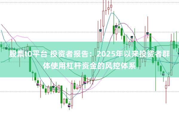 股票t0平台 投资者报告：2025年以来投资者群体使用杠杆资金的风控体系