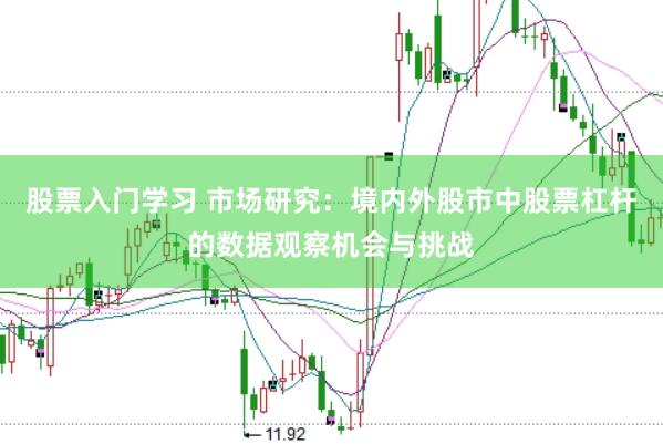 股票入门学习 市场研究：境内外股市中股票杠杆的数据观察机会与挑战