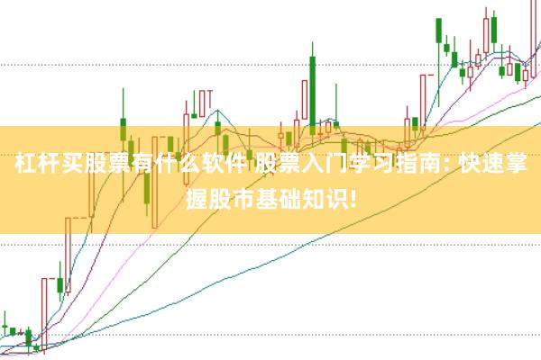 杠杆买股票有什么软件 股票入门学习指南: 快速掌握股市基础知识!