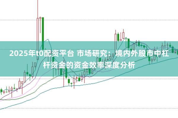 2025年t0配资平台 市场研究：境内外股市中杠杆资金的资金效率深度分析