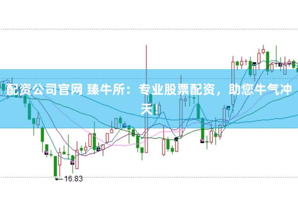 配资公司官网 臻牛所：专业股票配资，助您牛气冲天！